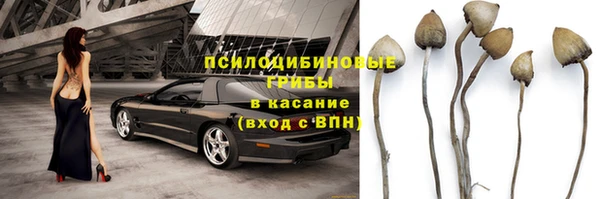 спайс Сосновка