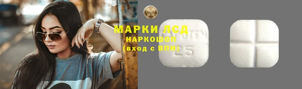 мдпв Струнино