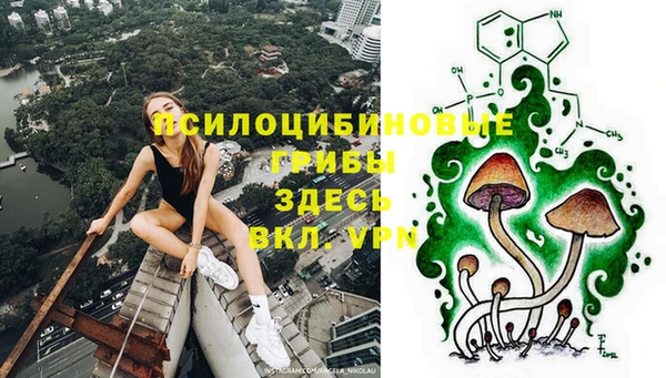 синтетический гашиш Сосновоборск