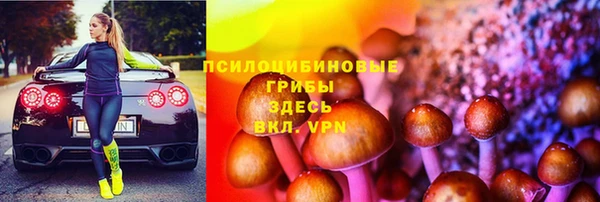 тгк Строитель